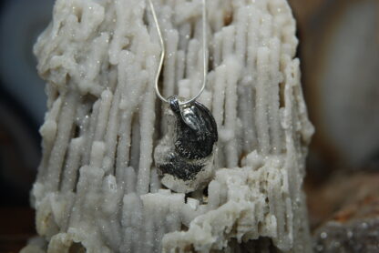 Louisiana Oyster Shell Pendant with White Pearl      RJ134.   * - Image 4