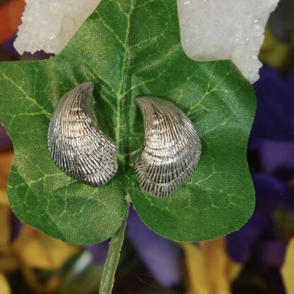 Silver Shell Pierced Earrings.      RJ118.  * - Image 2