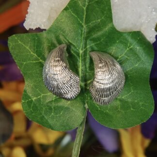 Silver Shell Pierced Earrings.      RJ118.  *