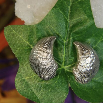 Silver Shell Pierced Earrings.      RJ118.  * - Image 4