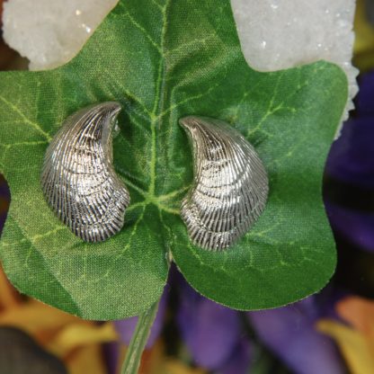 Silver Shell Pierced Earrings.      RJ118.  * - Image 5