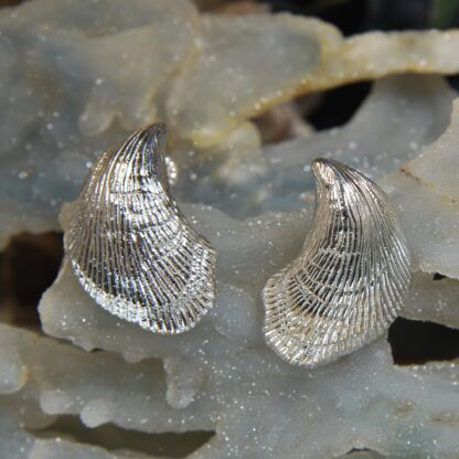 Silver Shell Pierced Earrings.      RJ118.  * - Image 6